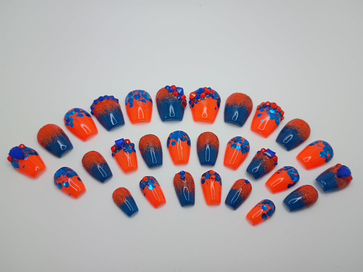 Fancy Orange and Blue Gators