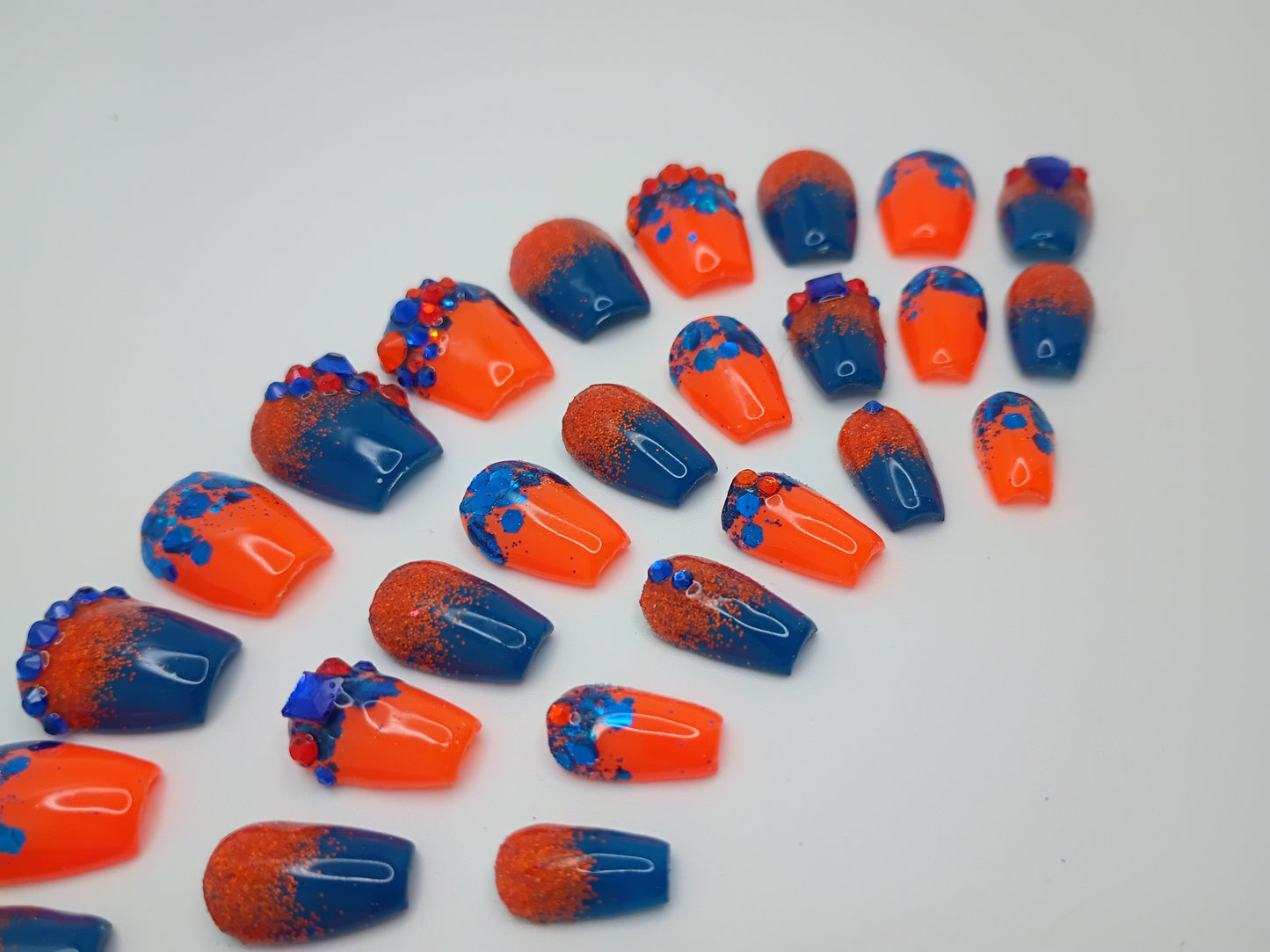 Fancy Orange and Blue Gators