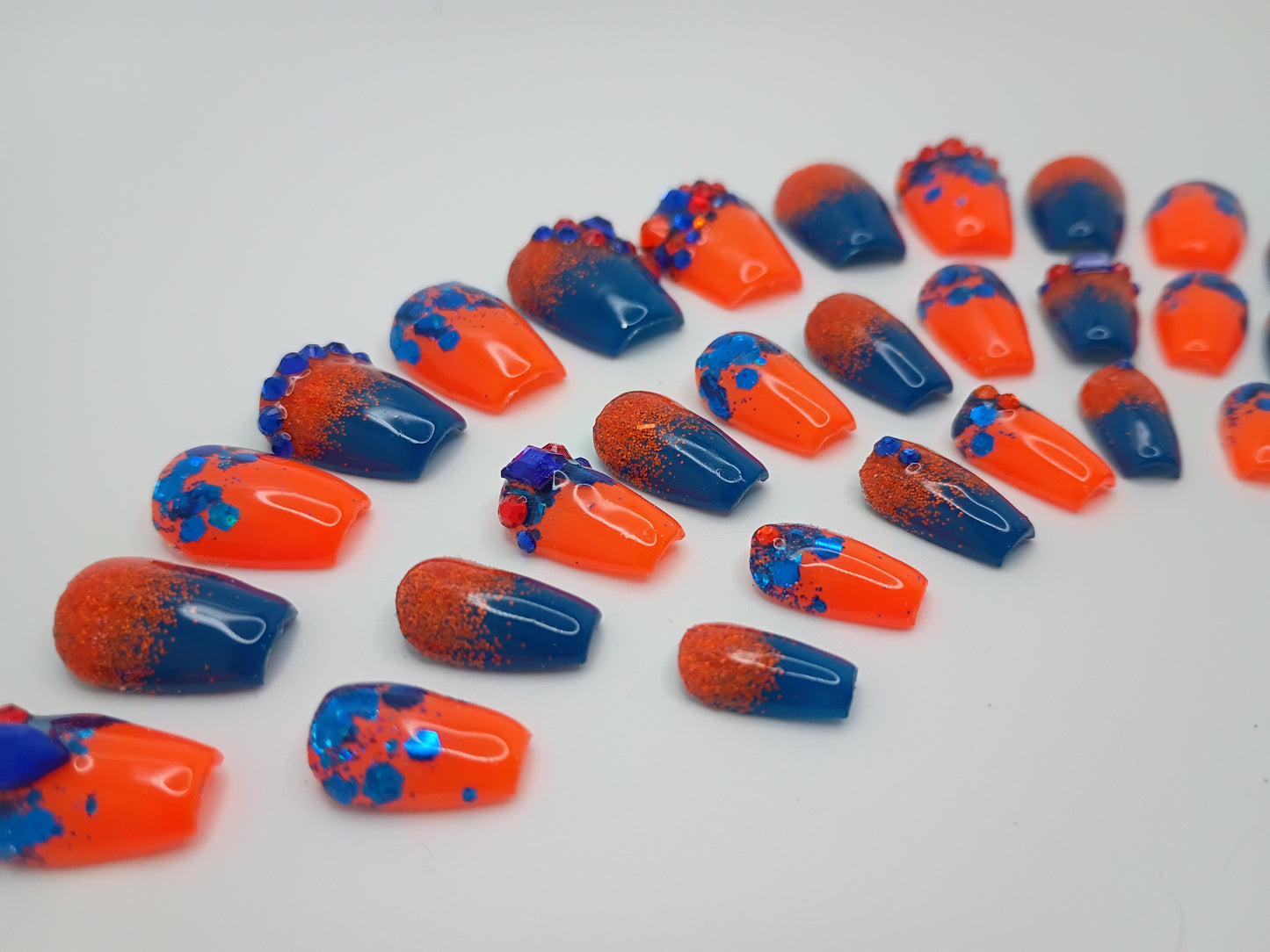 Fancy Orange and Blue Gators