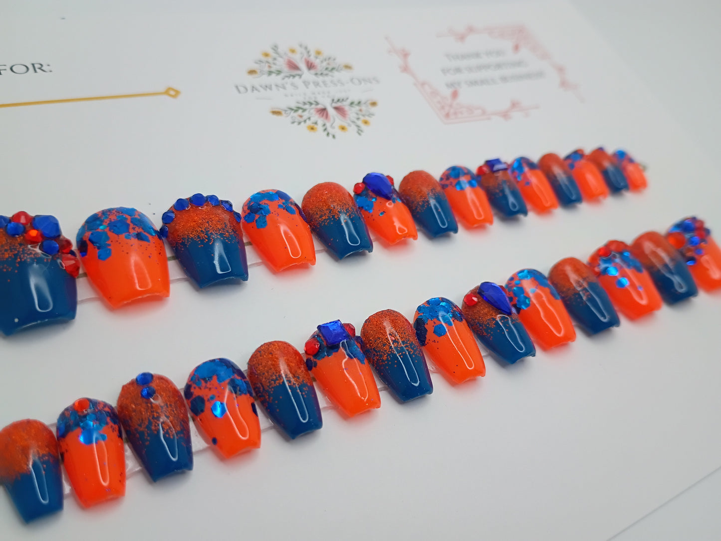 Fancy Orange and Blue Gators